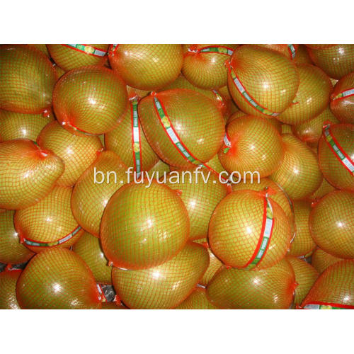 ভাল স্বাদ সঙ্গে Hotsale টাটকা Pomelo